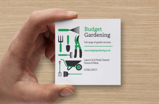 Budget Gardening 